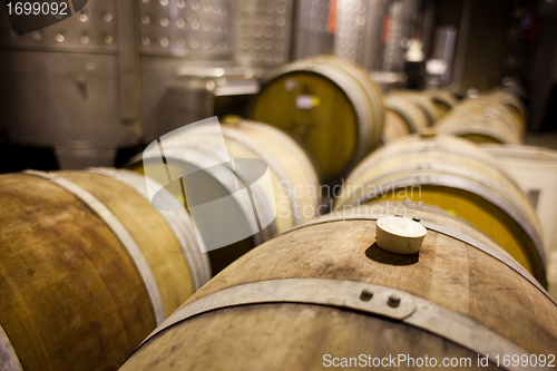 Image of Wine barrels in rows