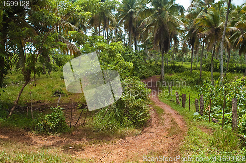 Image of Road to Playa Rincon High View