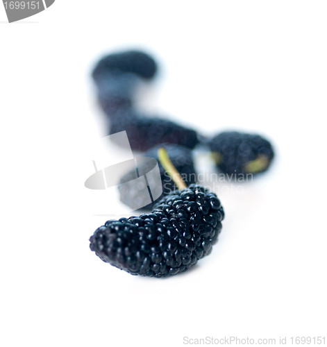 Image of fresh ripe mulberry over white