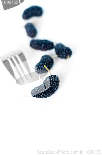 Image of fresh ripe mulberry over white