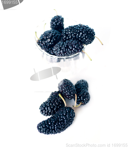 Image of fresh ripe mulberry over white