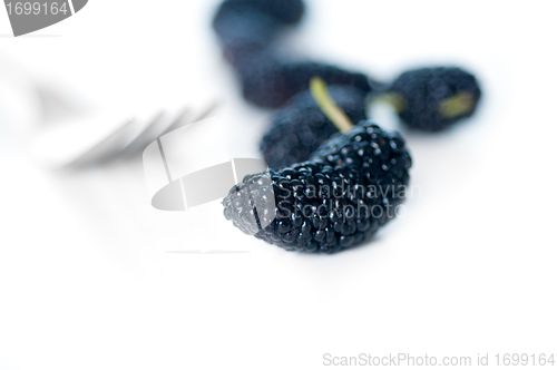 Image of fresh ripe mulberry over white