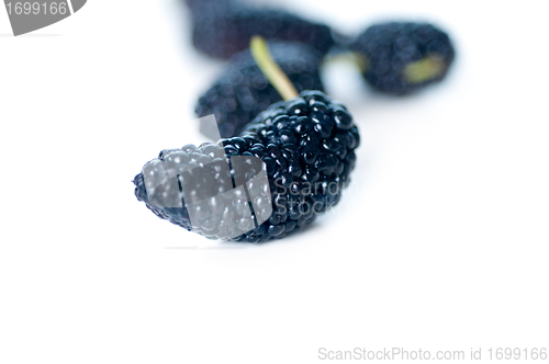 Image of fresh ripe mulberry over white