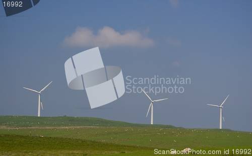 Image of Windmills