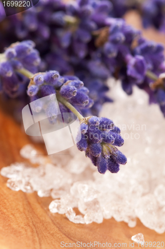 Image of Lavender flowers and the bath salt - beauty treatment 