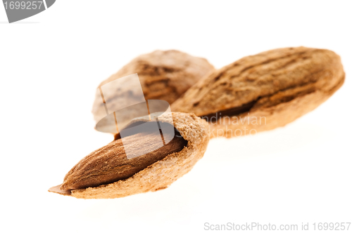 Image of Sweet almonds with kernel 