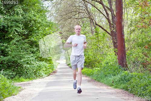 Image of man is jogging in the forest