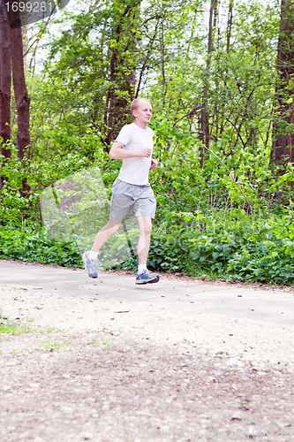 Image of man is jogging in the forest