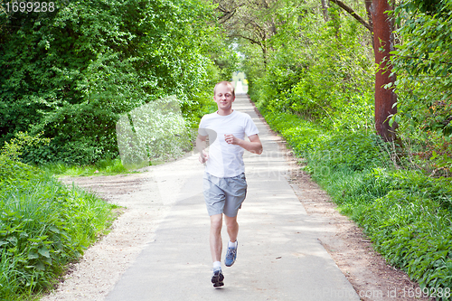 Image of man is jogging in the forest