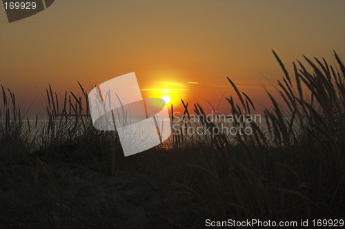Image of sunset beach