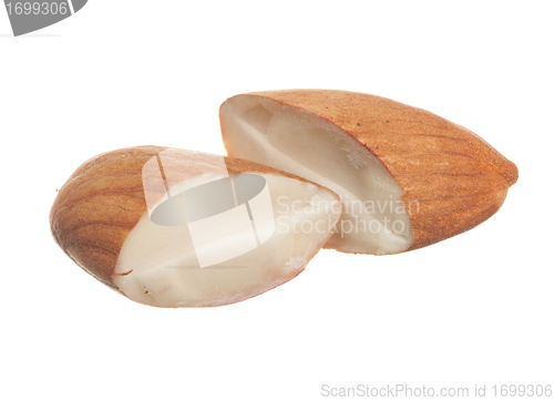 Image of Macro of sliced hazelnut