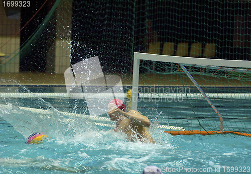 Image of Dynamo(Moscow) vs Sintez (Kazan) of waterpolo