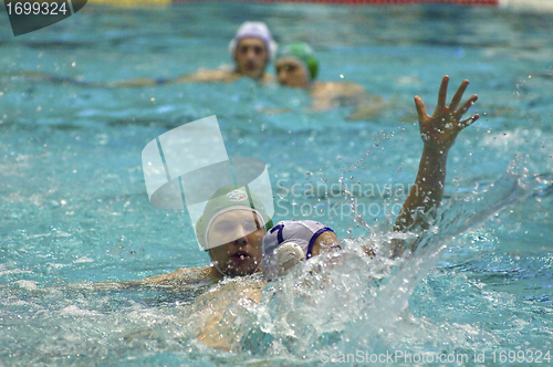 Image of Dynamo(Moscow) vs Sintez (Kazan) of waterpolo