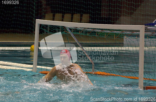 Image of Dynamo(Moscow) vs Sintez (Kazan) of waterpolo