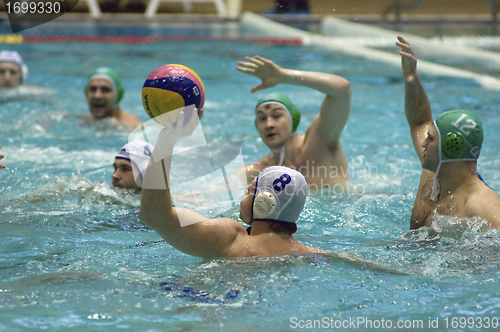 Image of Dynamo(Moscow) vs Sintez (Kazan) of waterpolo