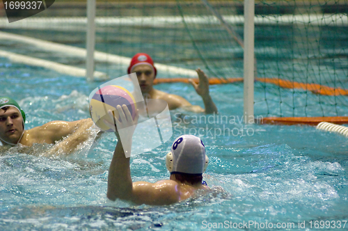 Image of Dynamo(Moscow) vs Sintez (Kazan) of waterpolo