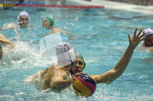 Image of Dynamo(Moscow) vs Sintez (Kazan) of waterpolo