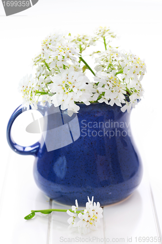 Image of Spring flowers in vase