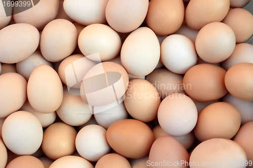 Image of Heap of chicken eggs