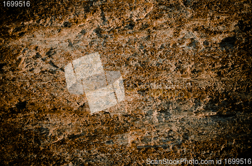 Image of Rock texture surface 