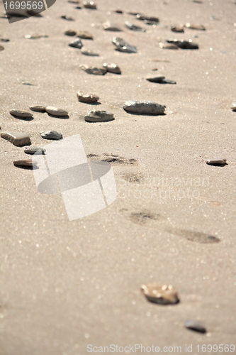 Image of Footprints at the beach among the stones