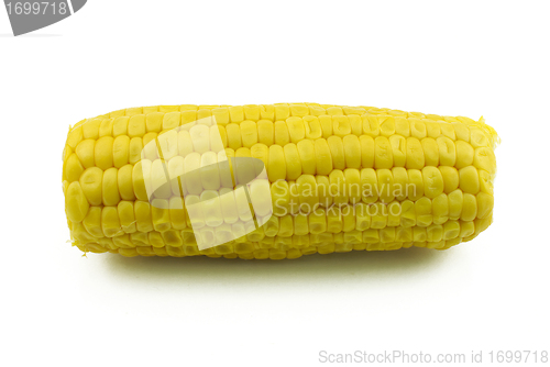 Image of Corncob on white