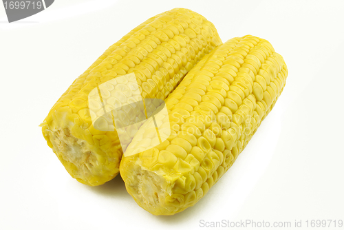 Image of Two corncobs on white