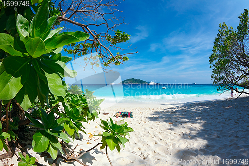 Image of Paradise beach.