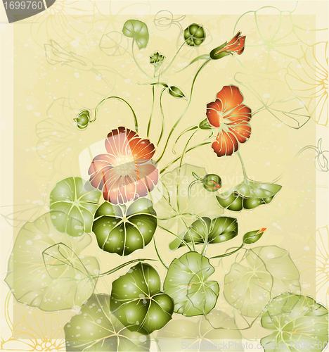 Image of Greeting card with nasturtium. Illustration nasturtium.