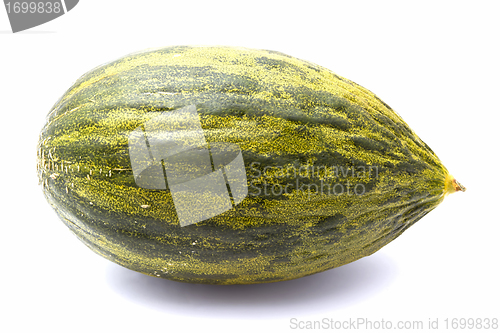 Image of Fresh and delicious melon