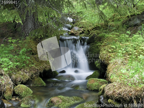 Image of Stream