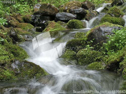 Image of Stream