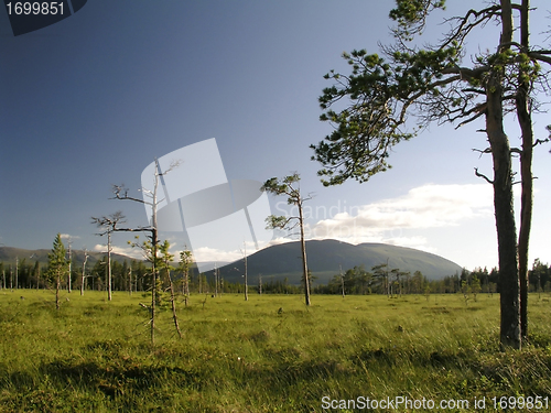 Image of Nature landscape