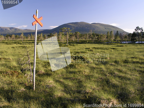 Image of Nature landscape