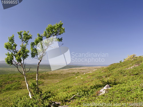 Image of Nature Landscape