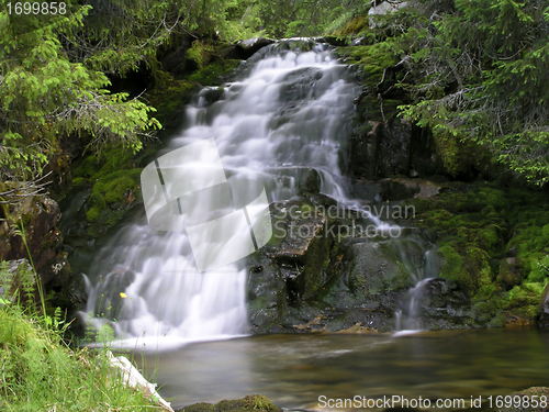 Image of Waterfall