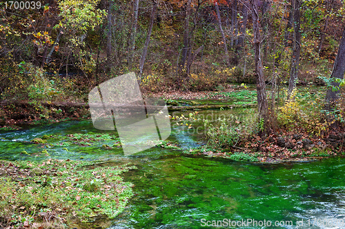 Image of alley spring missouri