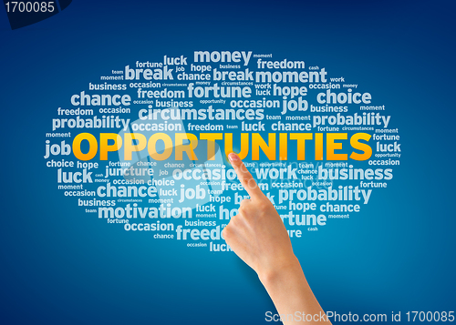 Image of Opportunities