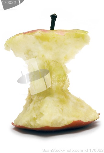 Image of Apple Core (Side View)