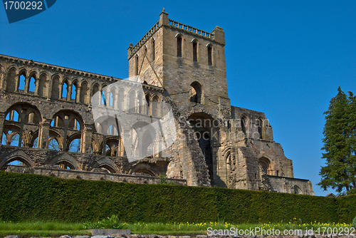 Image of Jedburgh Abbey