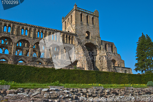 Image of Jedburgh Abbey