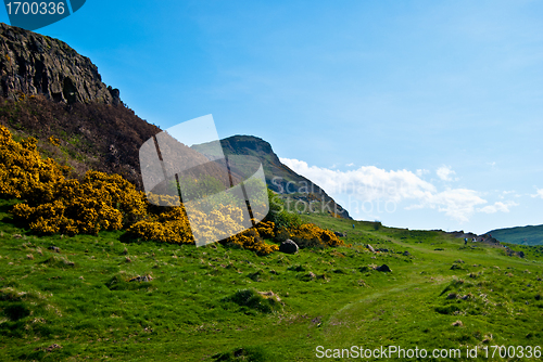 Image of Arthur's Seat