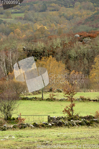 Image of Autumn trees and meadows