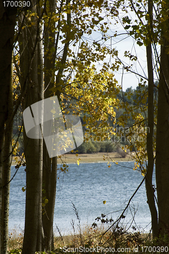 Image of Autumn scene at Northeastern Portugal