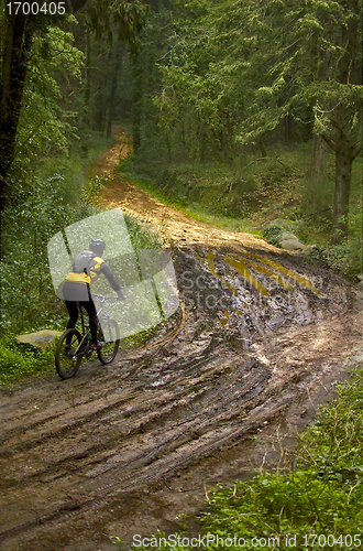 Image of Biker crossing mud