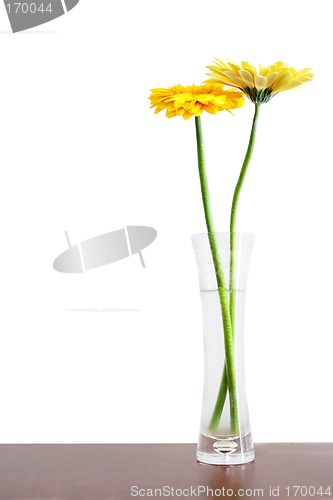 Image of Flowers in Vase