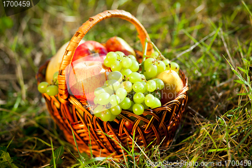 Image of basket full of fruits