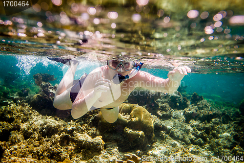 Image of Snorkeler