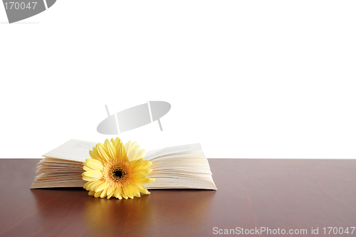 Image of Flower Book