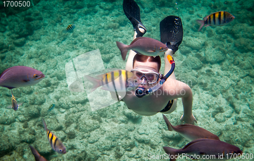 Image of Snorkeler